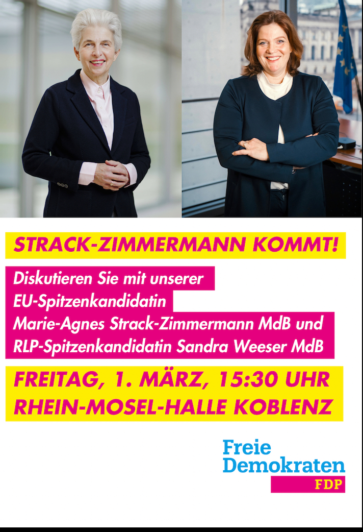 FDP Koblenz Strack-Zimmermann Rhein Mosel Halle