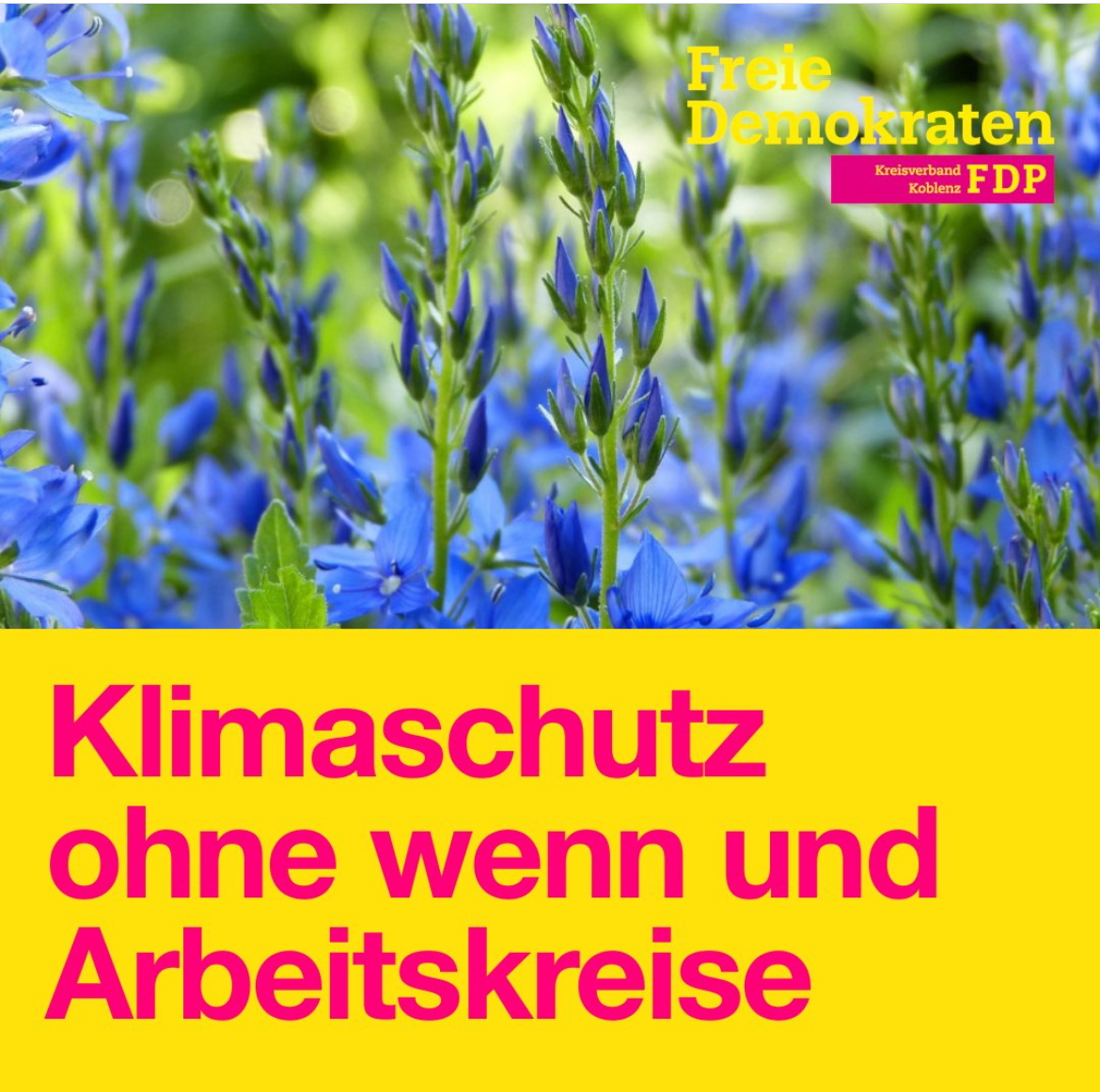 FDP Auflösung Koblenz Klimaschutzkommission