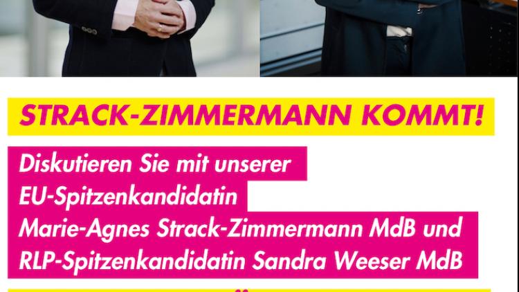 FDP Koblenz Strack-Zimmermann Rhein Mosel Halle