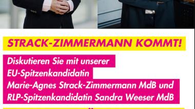 FDP Koblenz Strack-Zimmermann Rhein Mosel Halle