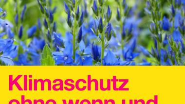 FDP Auflösung Koblenz Klimaschutzkommission